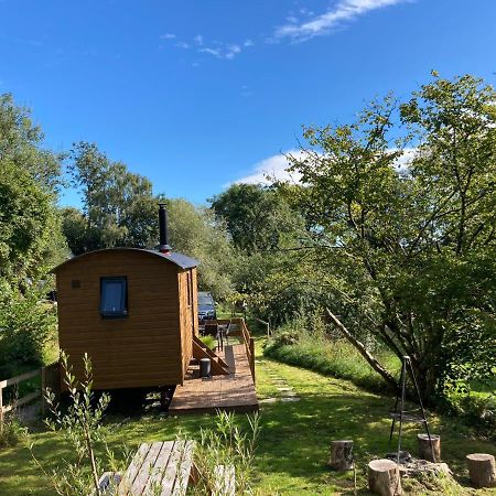 Herdwick Shepherd Hut Exeter Eksteriør bilde